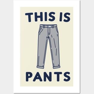 This is pants. Posters and Art